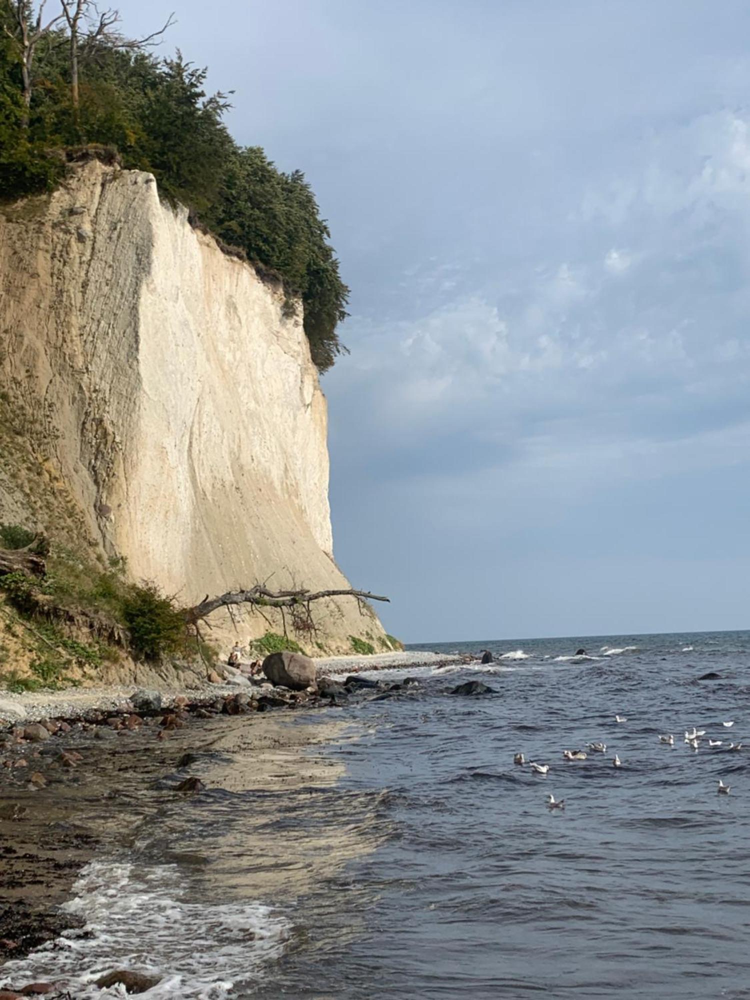 Ahoi Villa Wiek auf Rügen Dış mekan fotoğraf